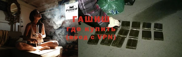прущие грибы Магас
