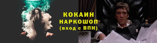 прущие грибы Магас