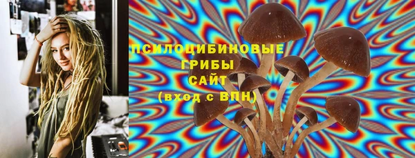 шишки Орск
