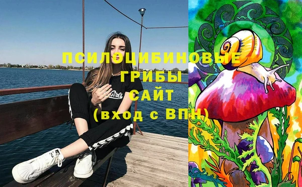 СК Магадан