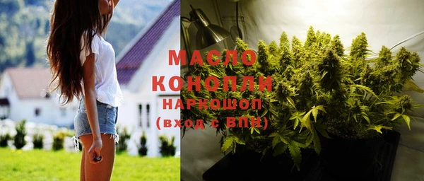 прущие грибы Магас