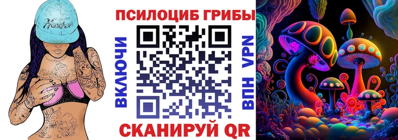 мориарти Telegram  Благодарный  Галлюциногенные грибы Psilocybine cubensis 