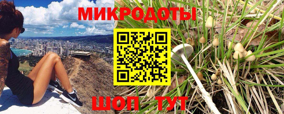 Псилоцибиновые грибы Cubensis  Благодарный 