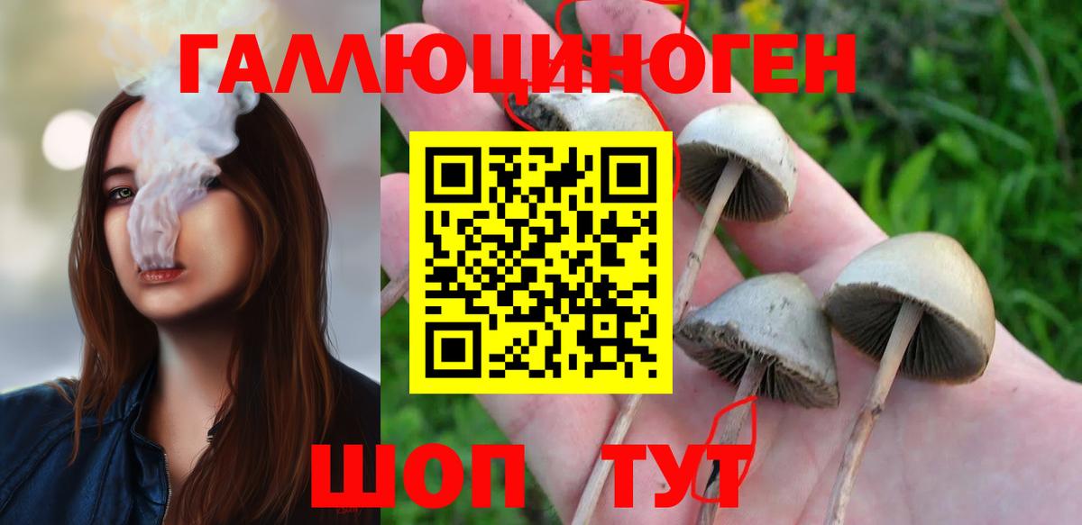 Псилоцибиновые грибы GOLDEN TEACHER Благодарный