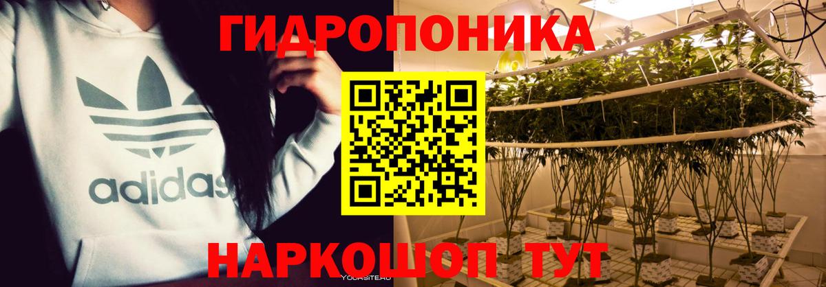 Шишки марихуана MAZAR  Канабис тримм  Благодарный 